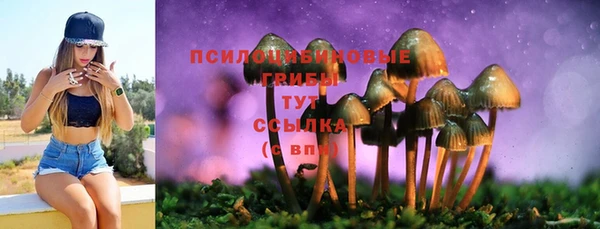 герыч Верхний Тагил