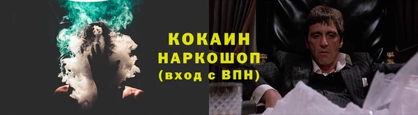 ГАЛЛЮЦИНОГЕННЫЕ ГРИБЫ Верея