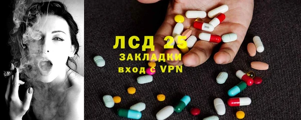 ГАЛЛЮЦИНОГЕННЫЕ ГРИБЫ Верея