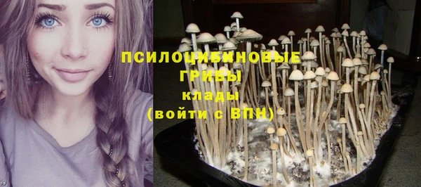 ГАЛЛЮЦИНОГЕННЫЕ ГРИБЫ Верея